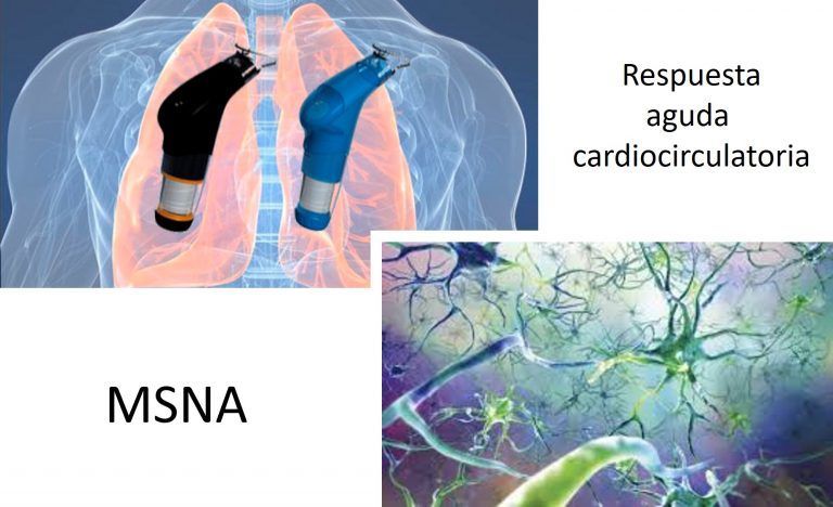 Respuesta cardiovascular a un entrenamiento de músculos inspiratorios