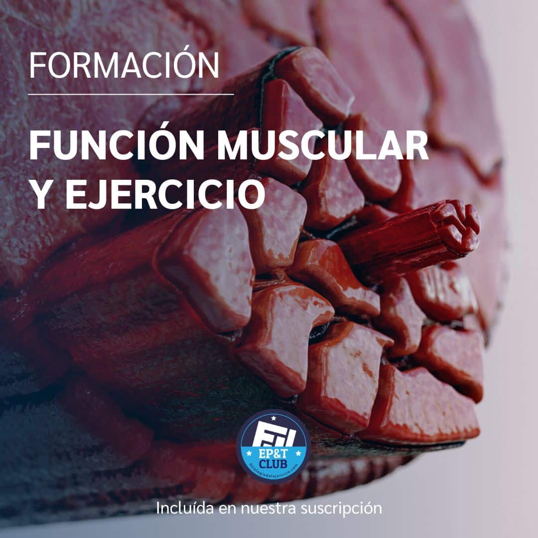 Función Muscular y Ejercicio - Fisiología del Ejercicio